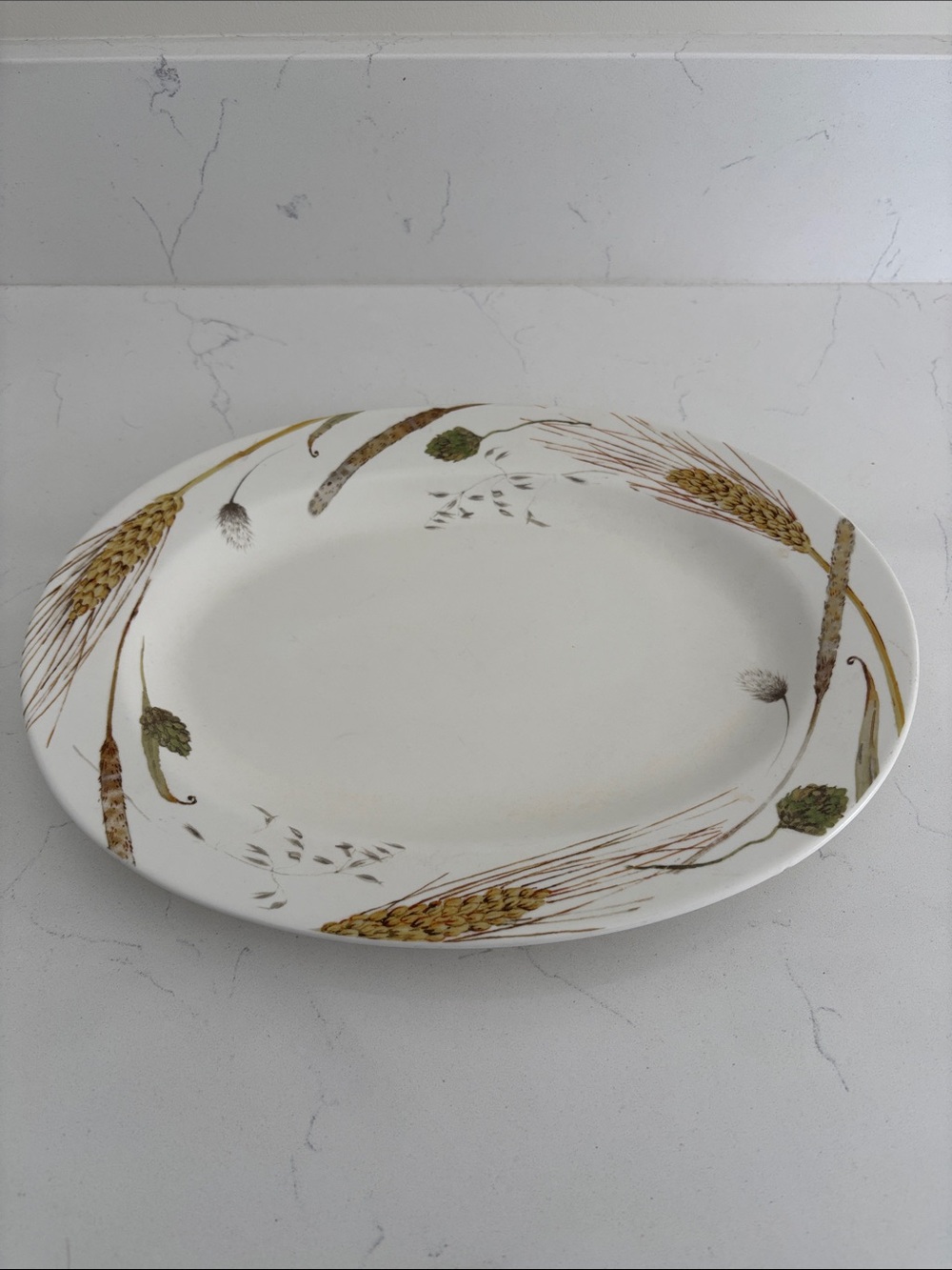 Pier 1 Savannah Wheat Serving Platter